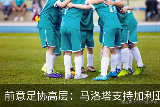 前意足协高层：马洛塔支持加利亚尼竞选足协主席，意甲已分裂